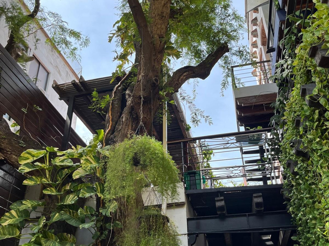 Casa de Isabella - a Kali Hotel主图