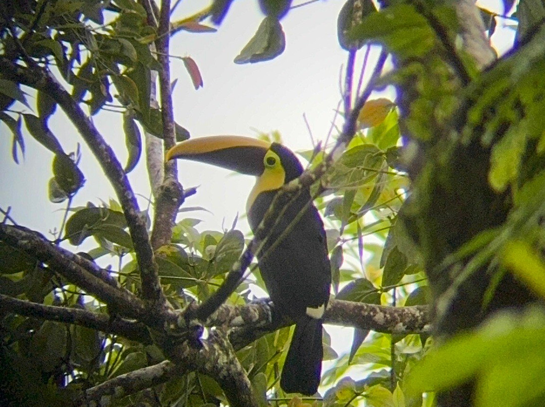 Green Go Costa Rica-利比里亚必去景点