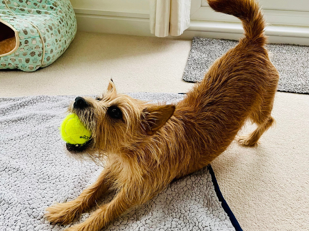 Yoga Loveliness-托基必去景点