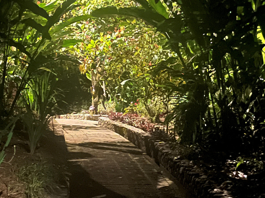 EL Jardín Lodge & Spa主图