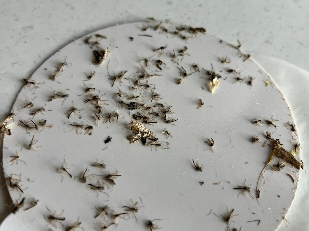 Pointe aux Barques Lighthouse-Port Hope必去景点