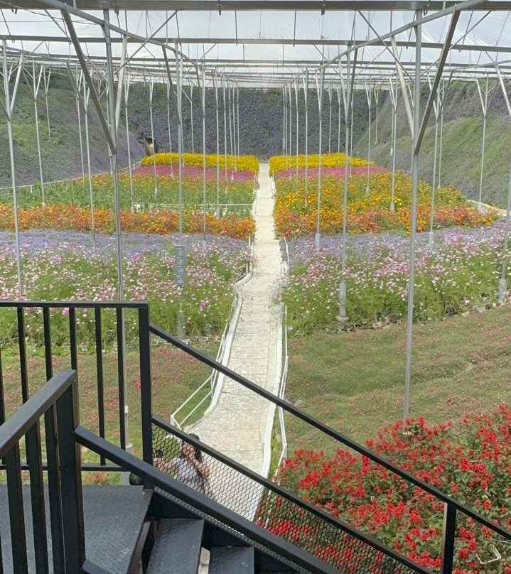 Cameron Highlands Flora Park-碧兰璋必去景点