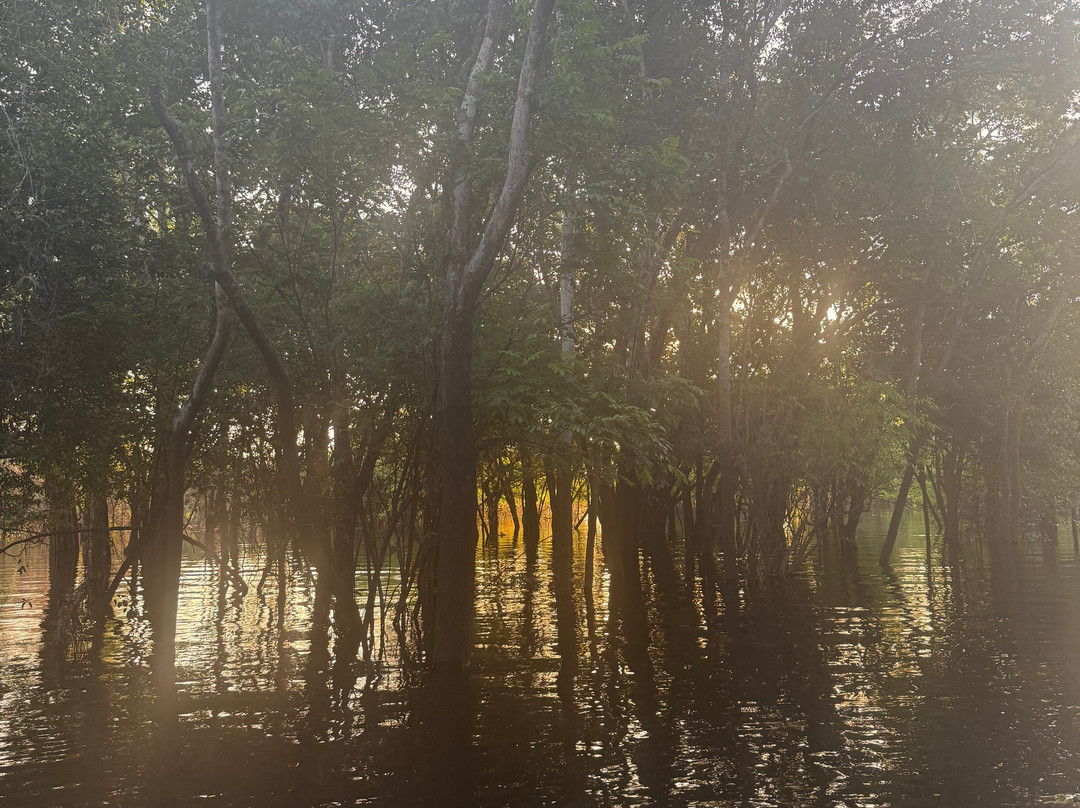 Amazon Prime Ecolodge-玛瑙斯必去景点