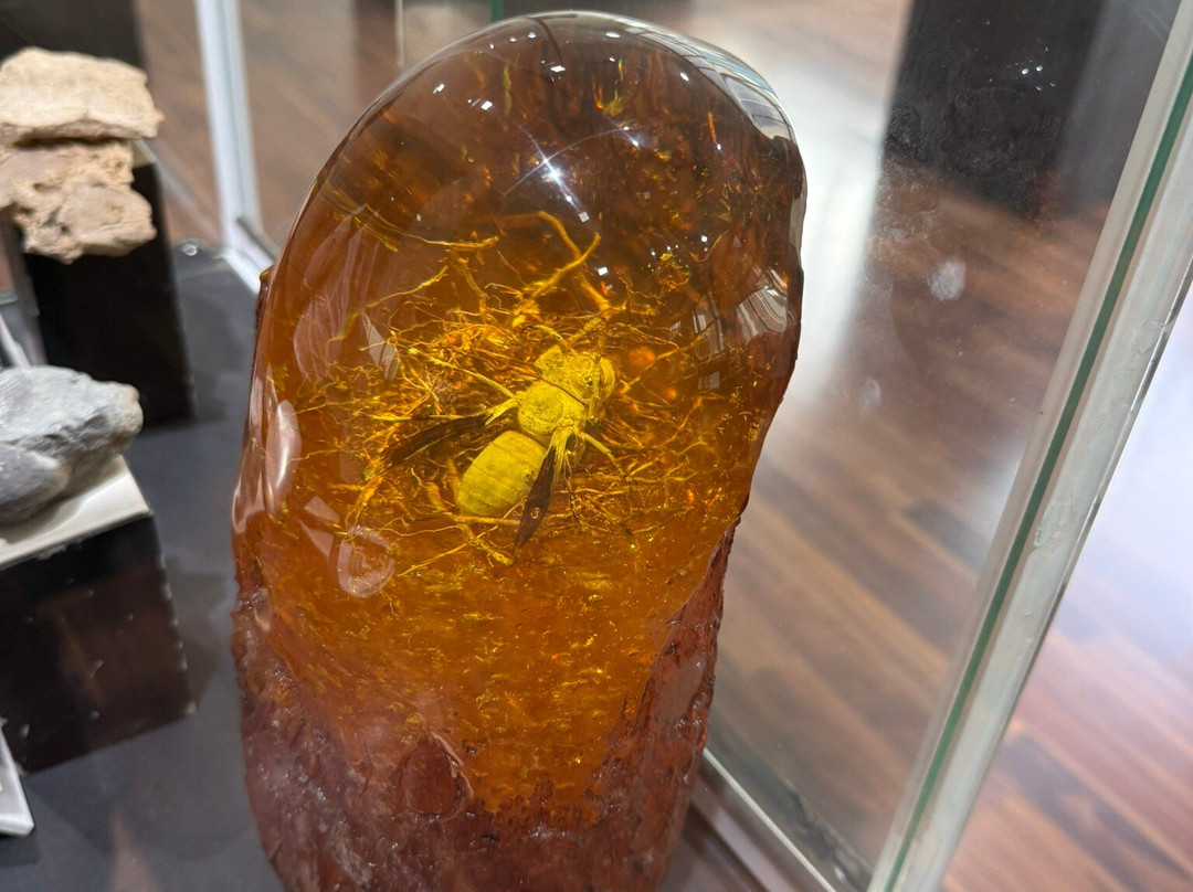 Gamini Gem & Jewellery-Halloluwa必去景点