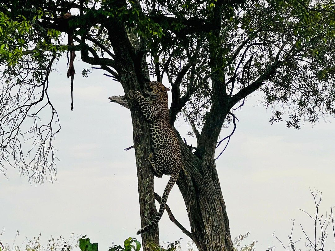 Gametrackers-Rongai必去景点