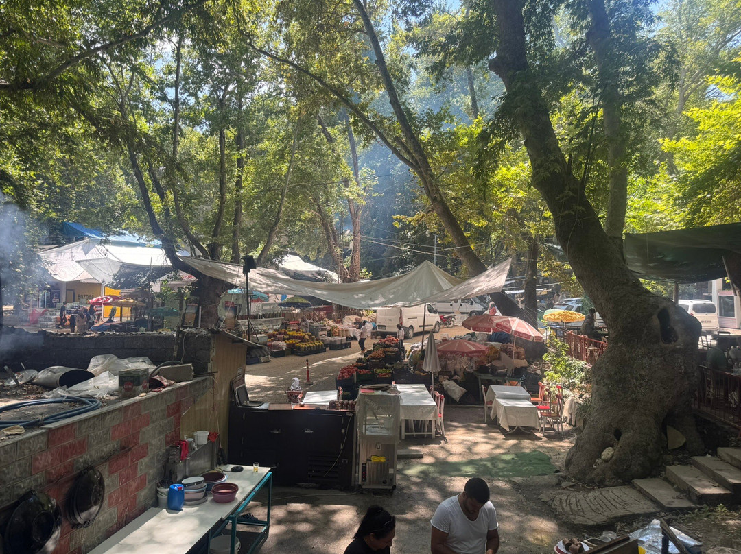 Zeyve Pazari-Ermenek必去景点