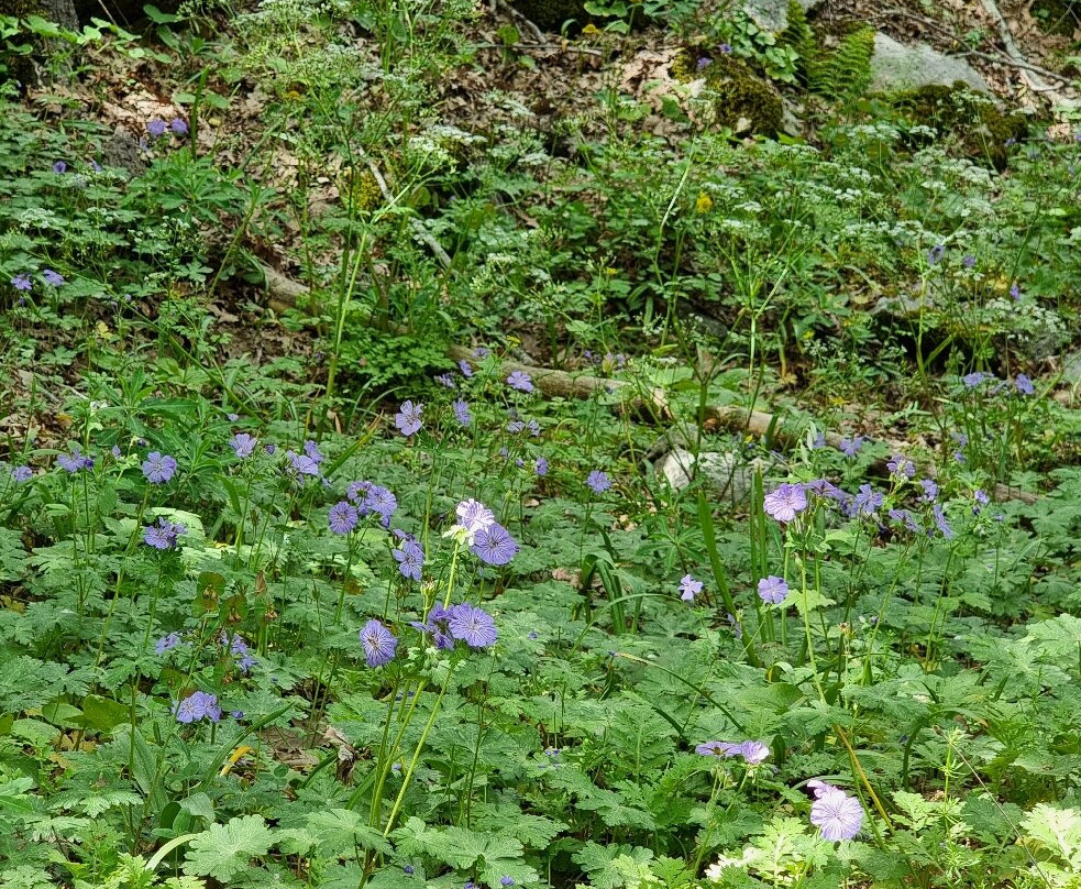 Jabal Moussa Biosphere Reserve-Keserwan District必去景点