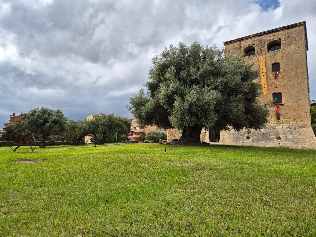 Torre Vella-萨洛必去景点