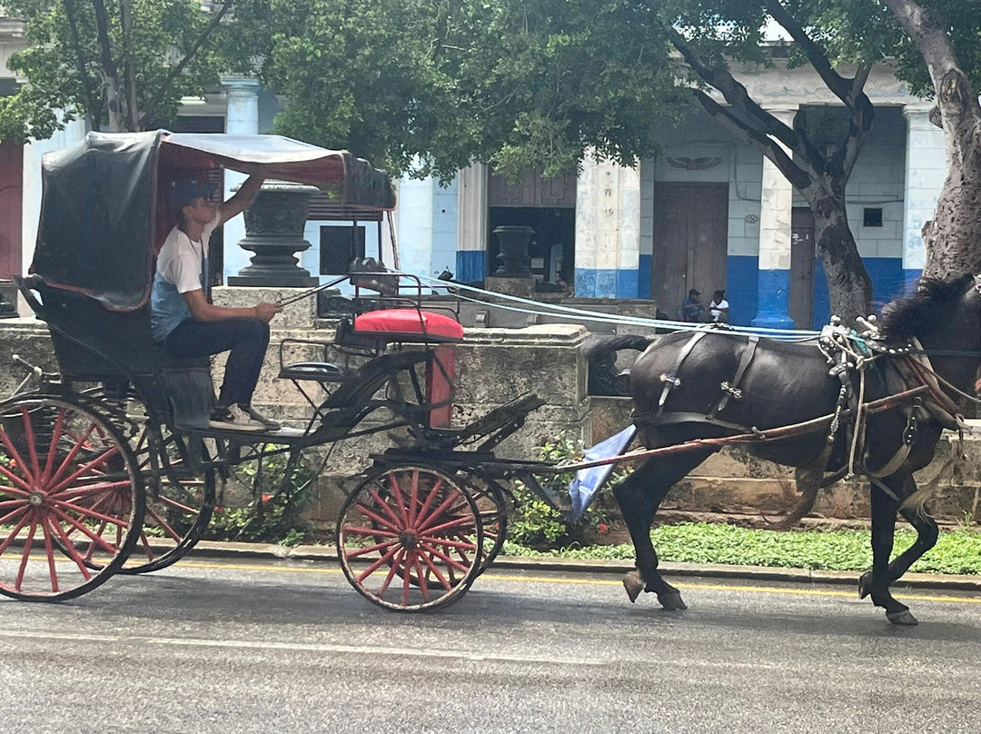 Varadero Street Market-巴拉德罗必去景点