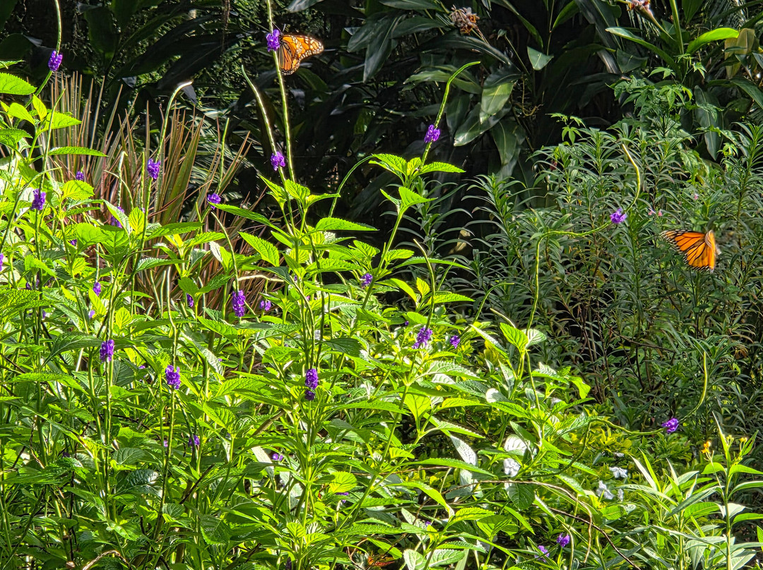 Mead Botanical Garden, Inc.-温特帕克必去景点
