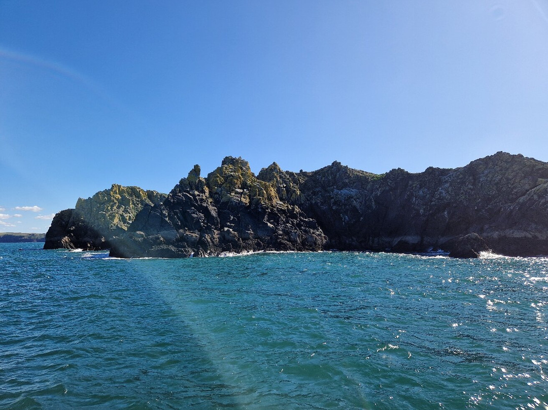Padstow Harbour-帕兹托必去景点