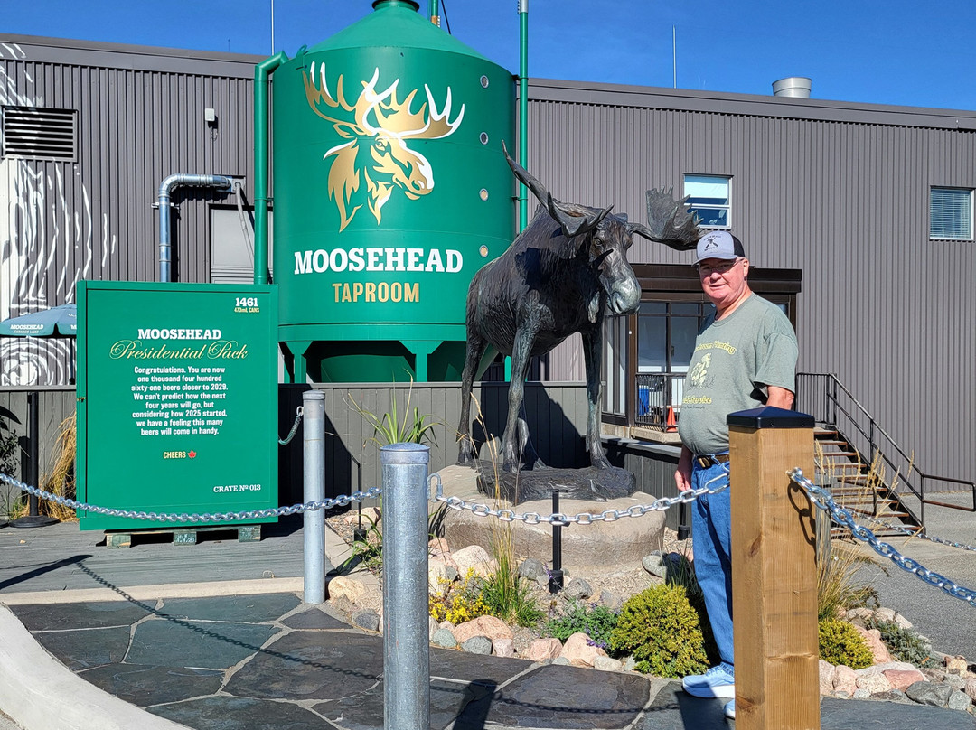 Moosehead Breweries-圣约翰必去景点