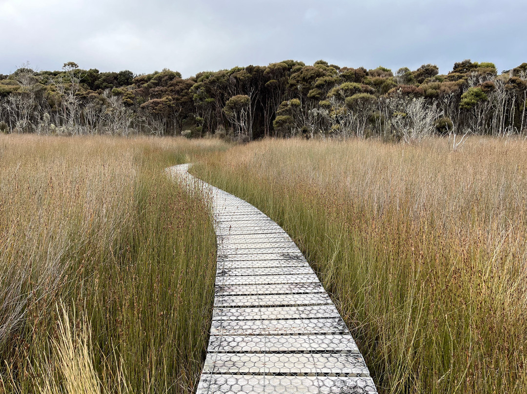 Catlins Tours-奥瓦卡必去景点
