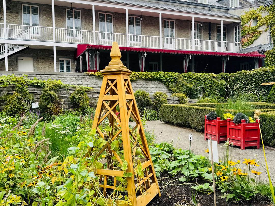 Free Old Montreal Tours-蒙特利尔必去景点