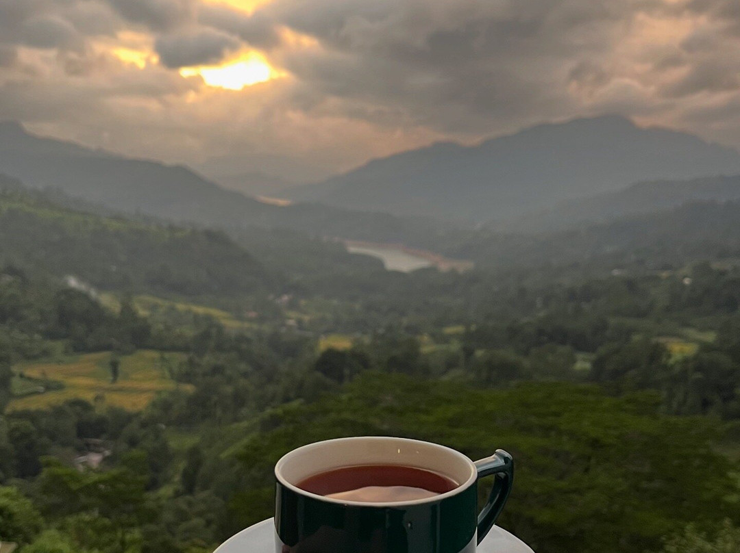 Monkey Tours Sri Lanka-加勒必去景点