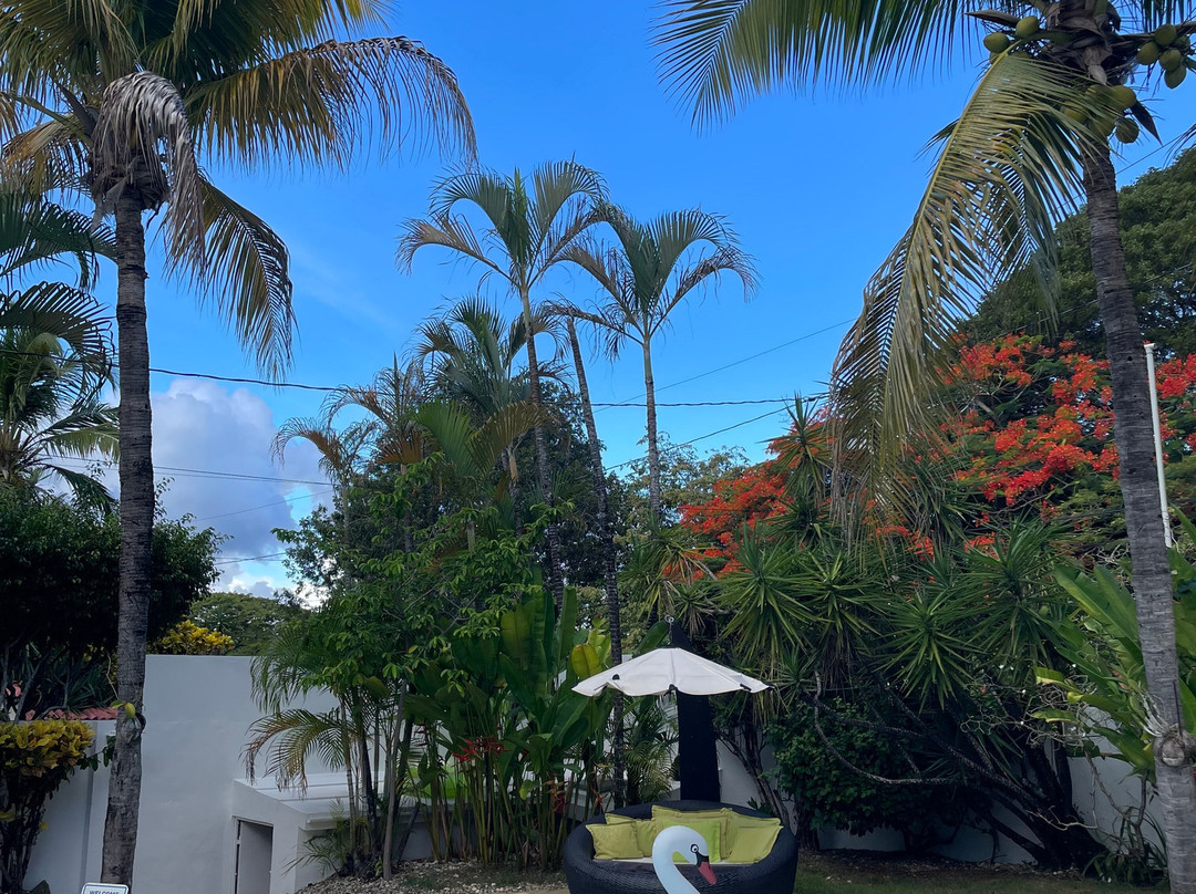 Casa Veintiuno主图