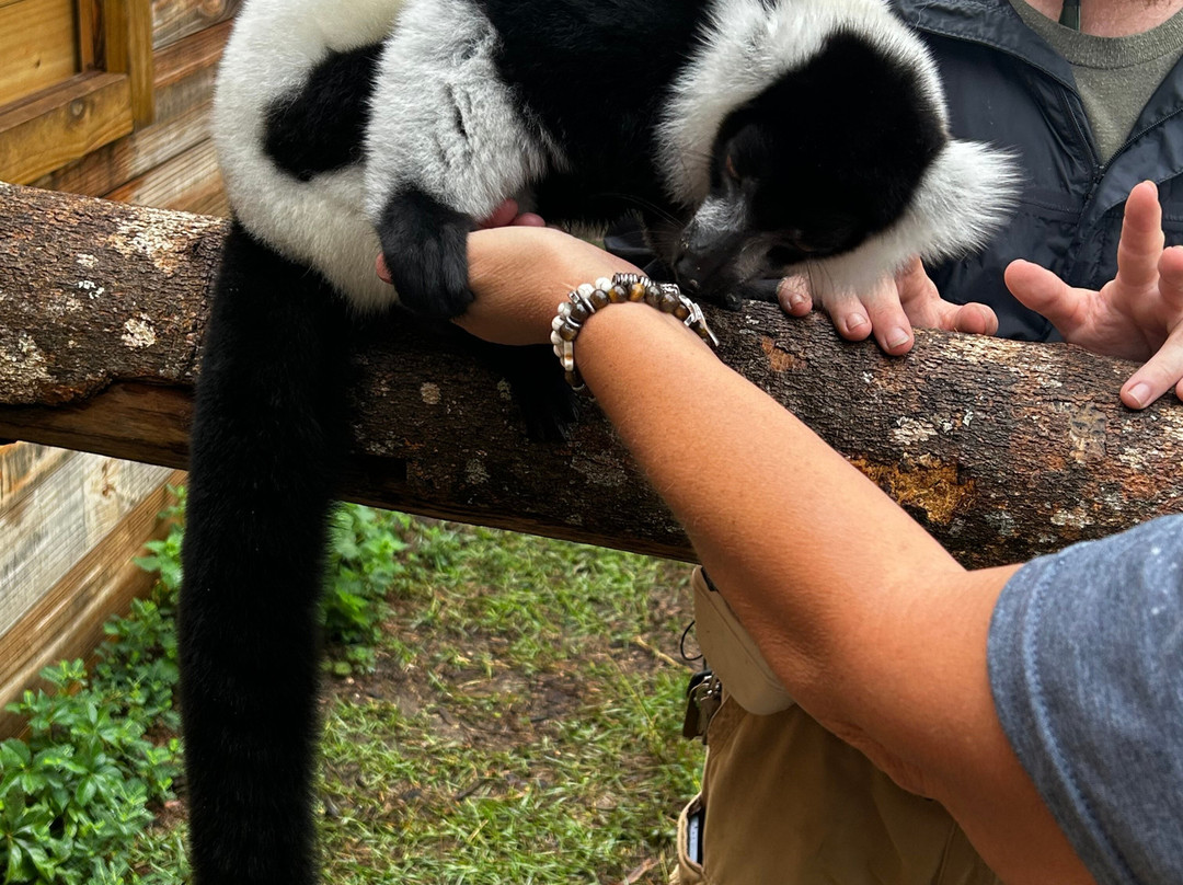 North Florida Wildlife Center-Lamont必去景点