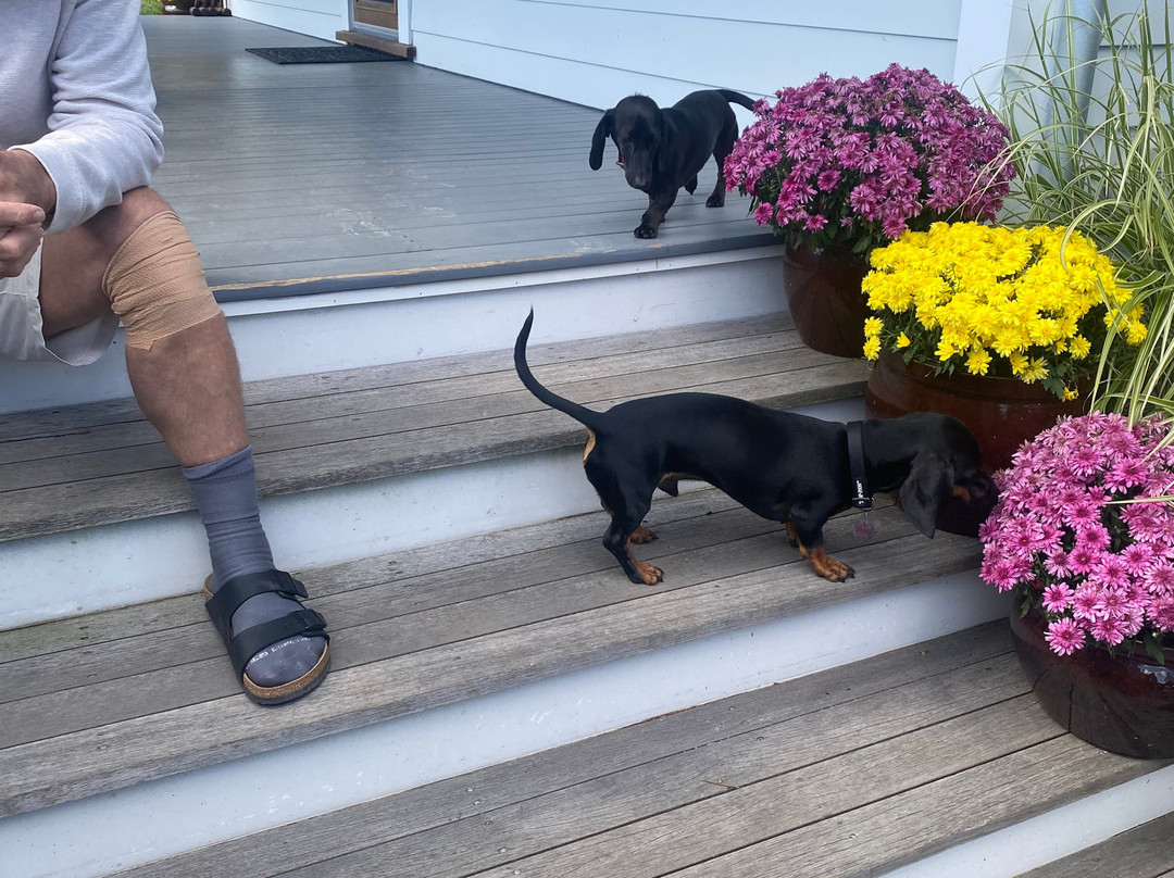 Seven on Shelter Island主图