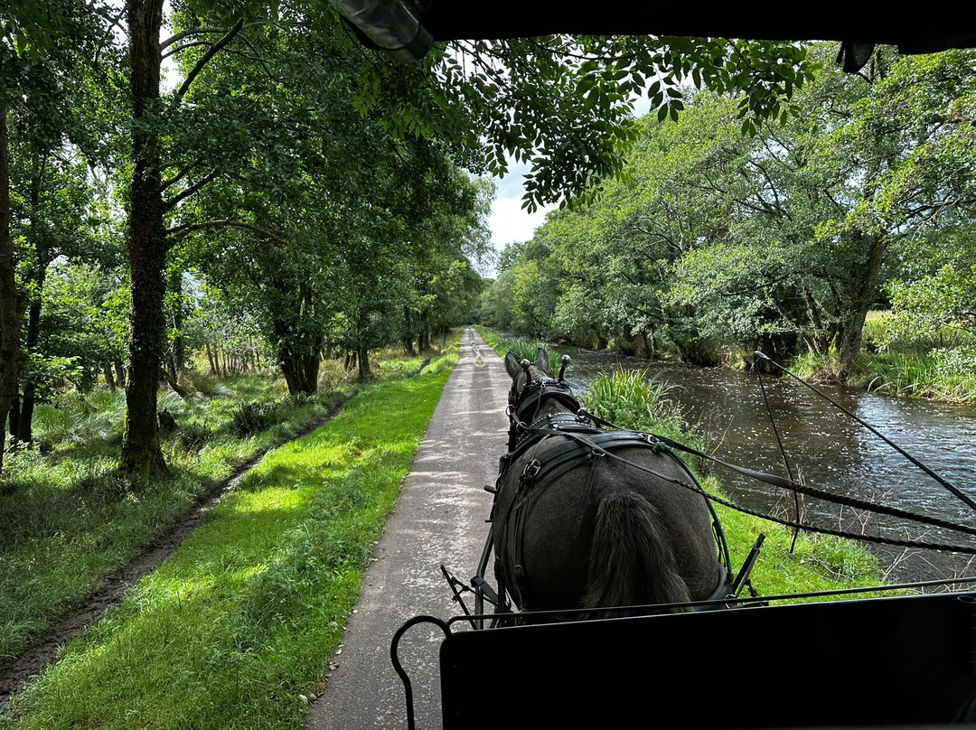 Experiencing Ireland-Mountmellick必去景点