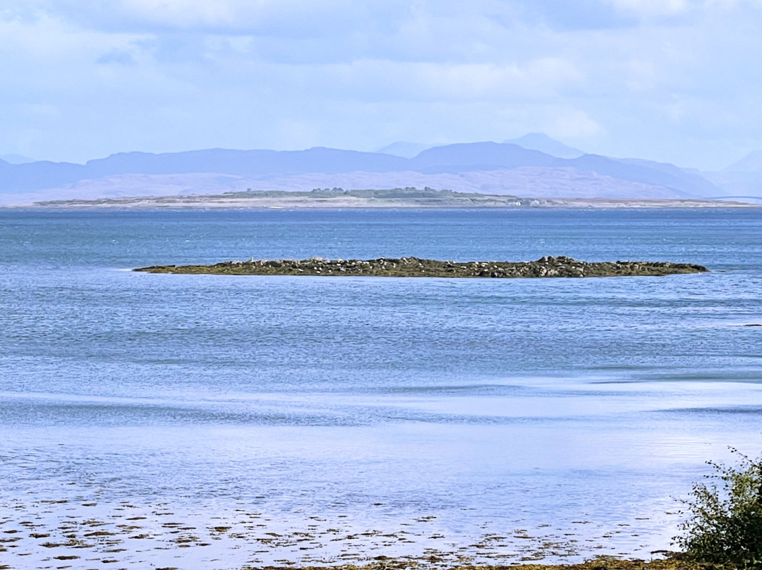 Isle of Skye Wildlife Tours -Tours-Portree必去景点