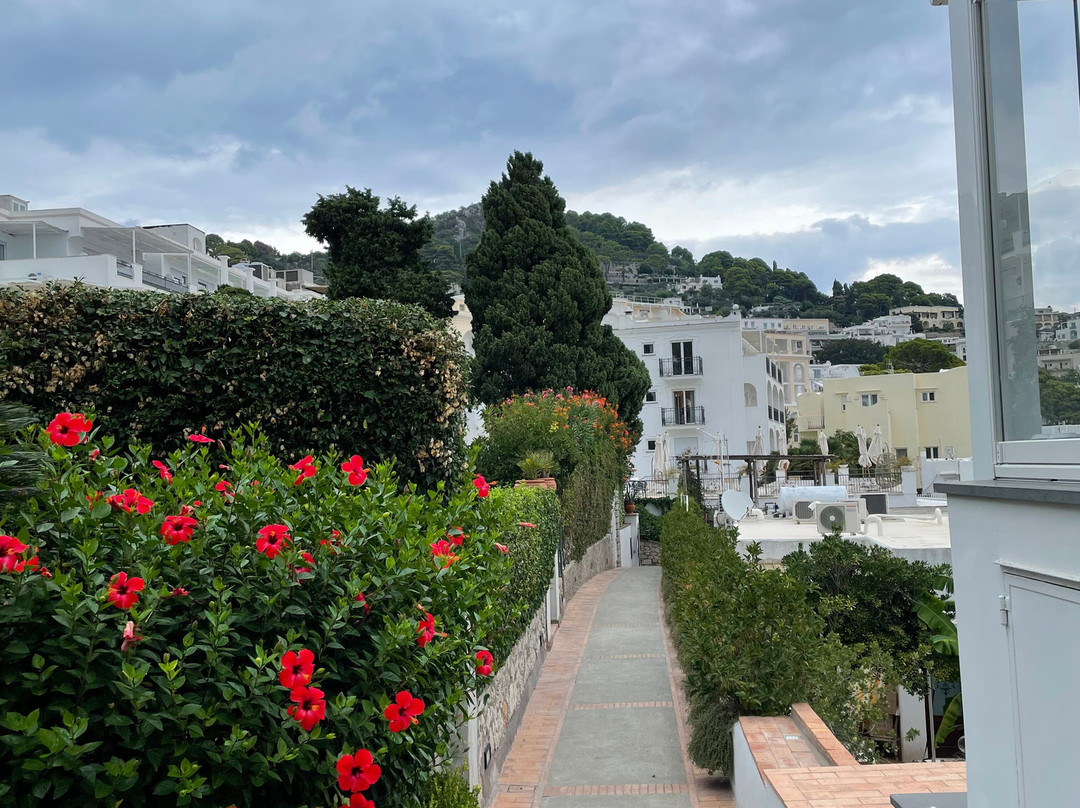 Hotel La Tosca主图