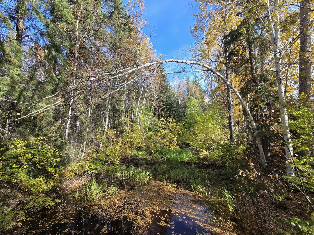 Wedgewood Wildlife Sanctuary-费尔班克斯必去景点