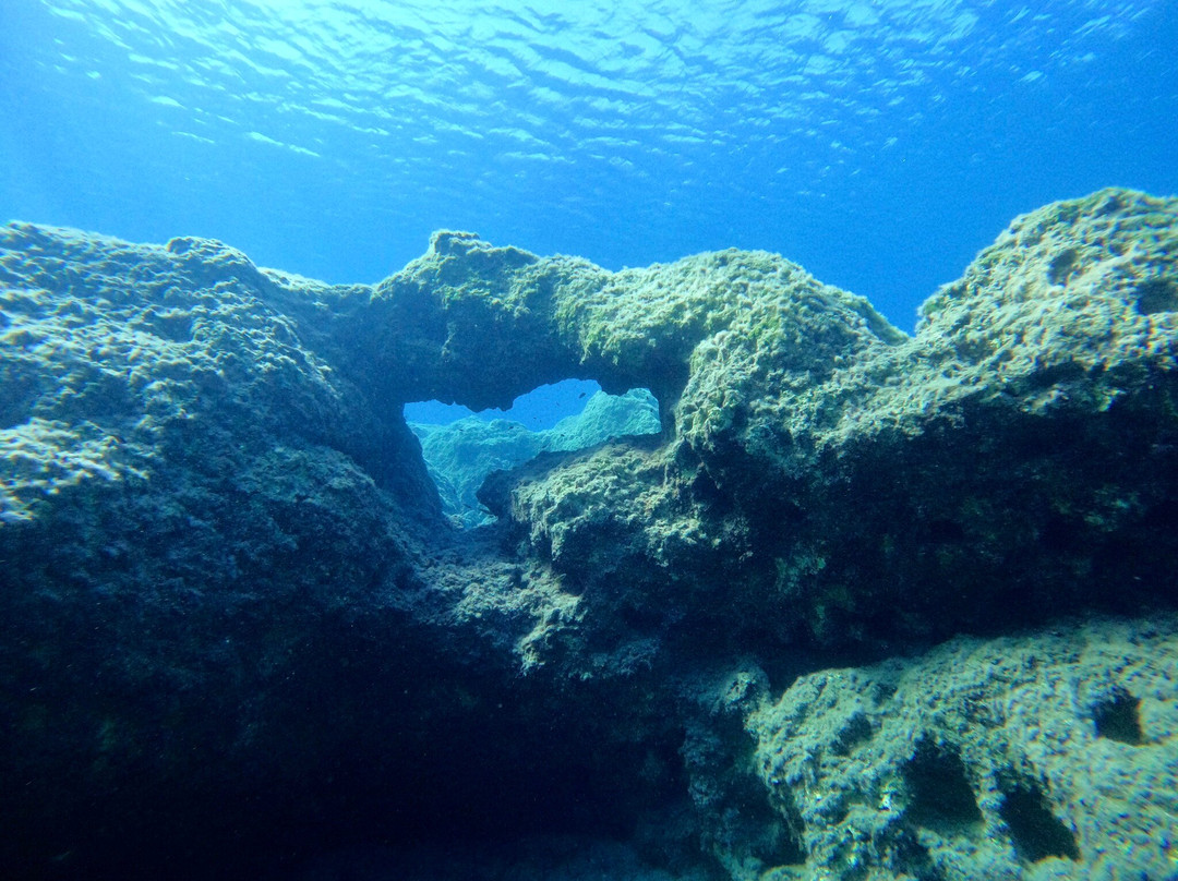 Royal Octopus DIVE CENTER-Kolymbari必去景点