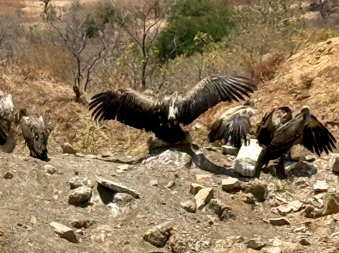 Zanleisuretours & Safaris-桑给巴尔市必去景点