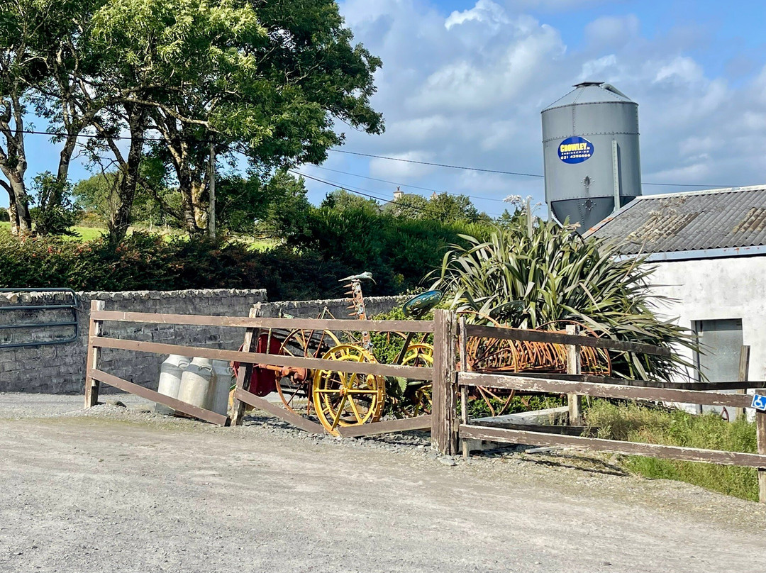 Valentia Island Ice Cream-Valentia Island必去景点