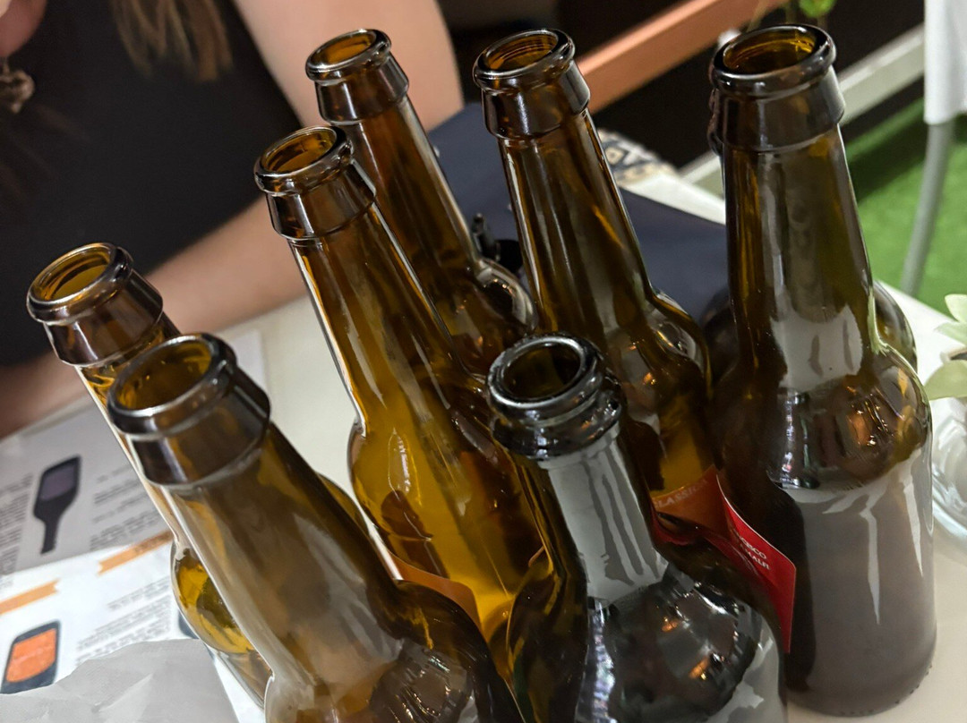 Birra Artigianale TERRA MIA-马奥莱必去景点