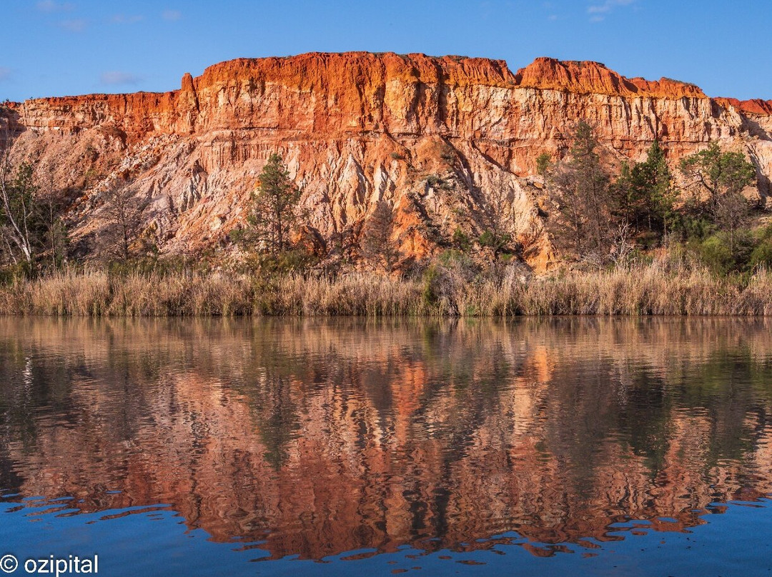 Murray River Trails-Renmark必去景点