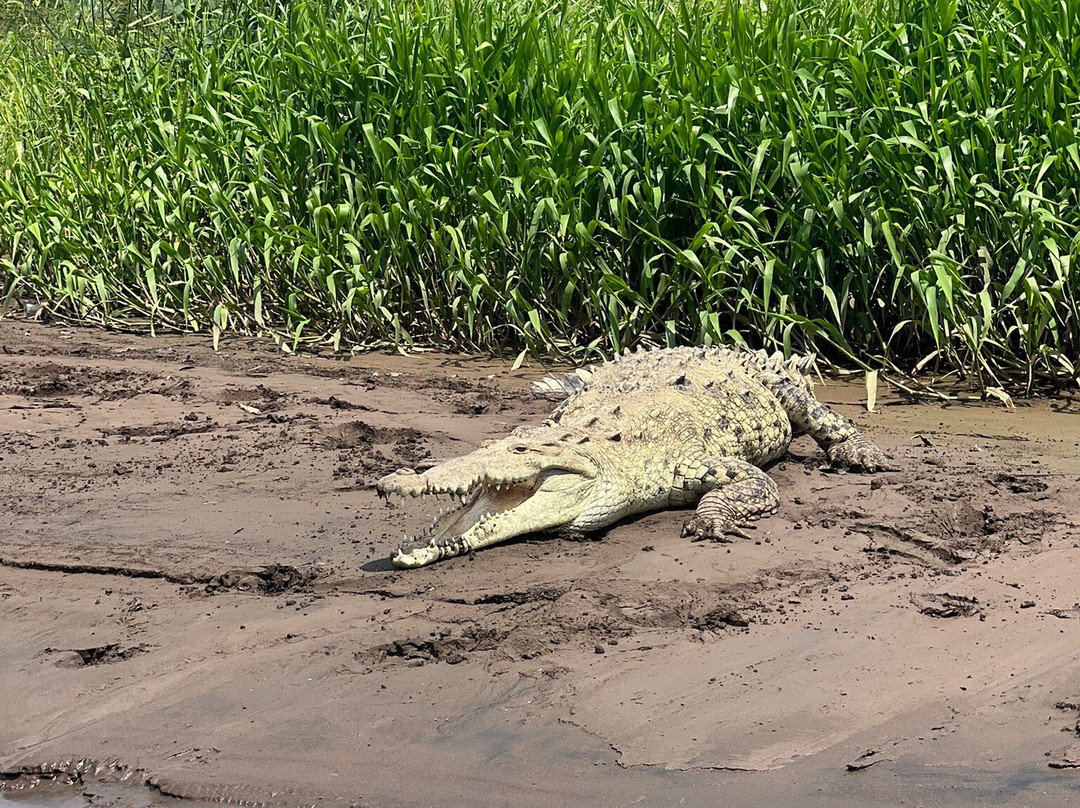 Asuaire Travel-圣何塞必去景点