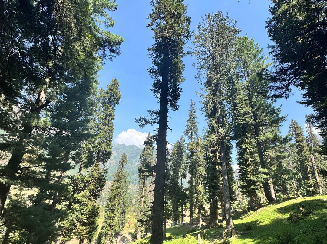 Endless Tour and Travels-帕哈甘必去景点