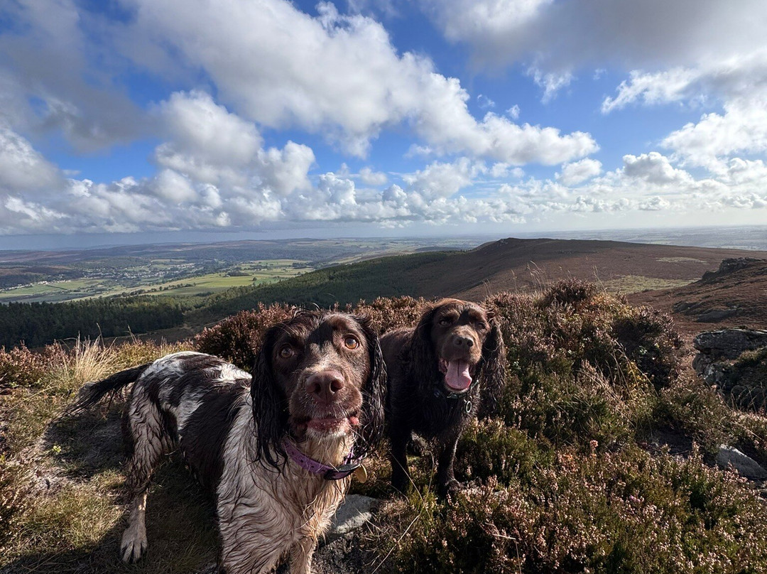 Simonside Hills-Northumberland National Park必去景点