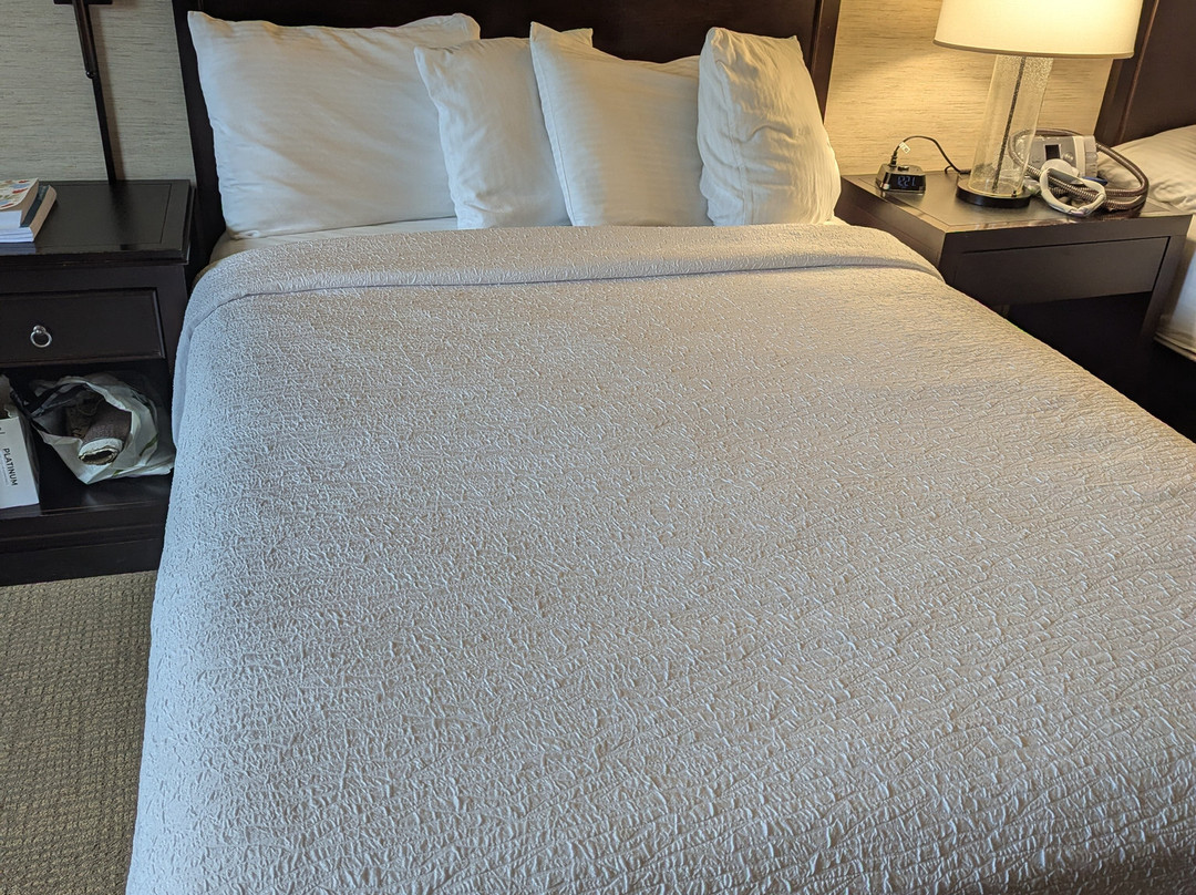 东门贝尔维尤银云酒店主图