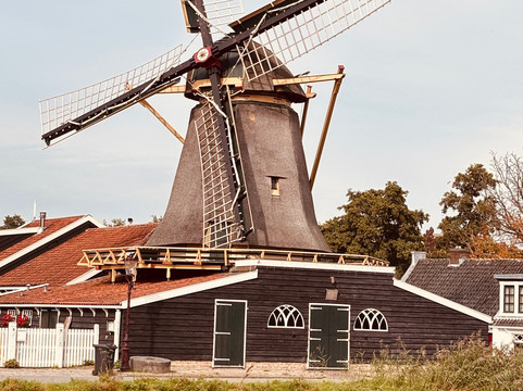 We Bike Amsterdam-阿姆斯特丹必去景点