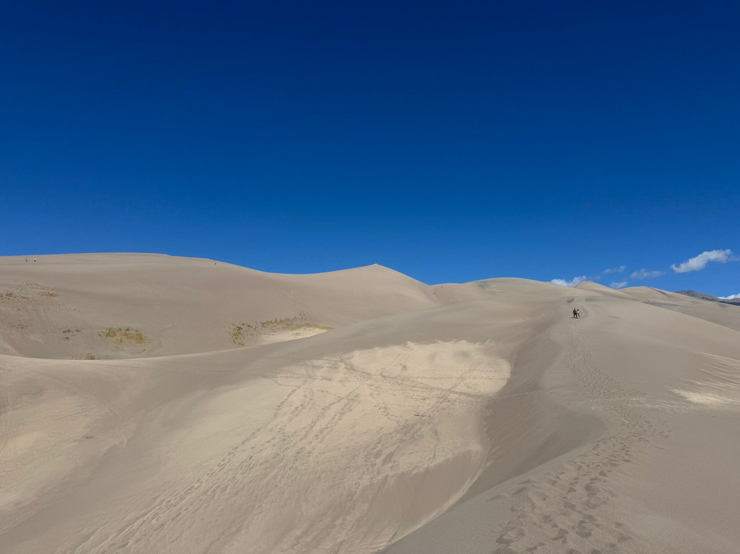 Great Sand Dunes National Park and Preserve-Mosca必去景点