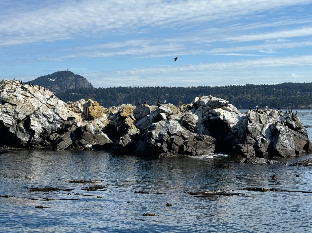Outer Island Excursions-Anacortes必去景点