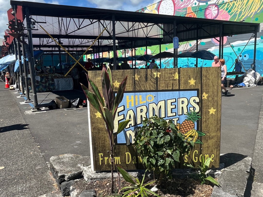 希洛农贸市场-希洛必去景点