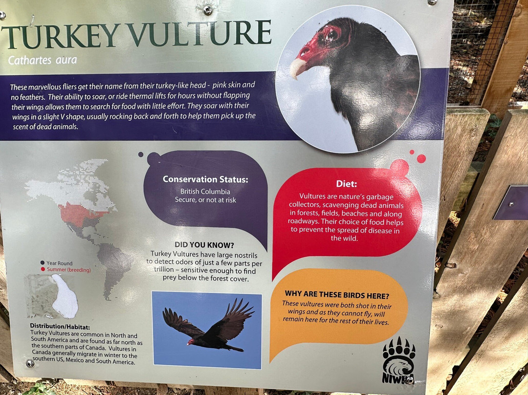 North Island Wildlife Recovery Centre-Errington必去景点