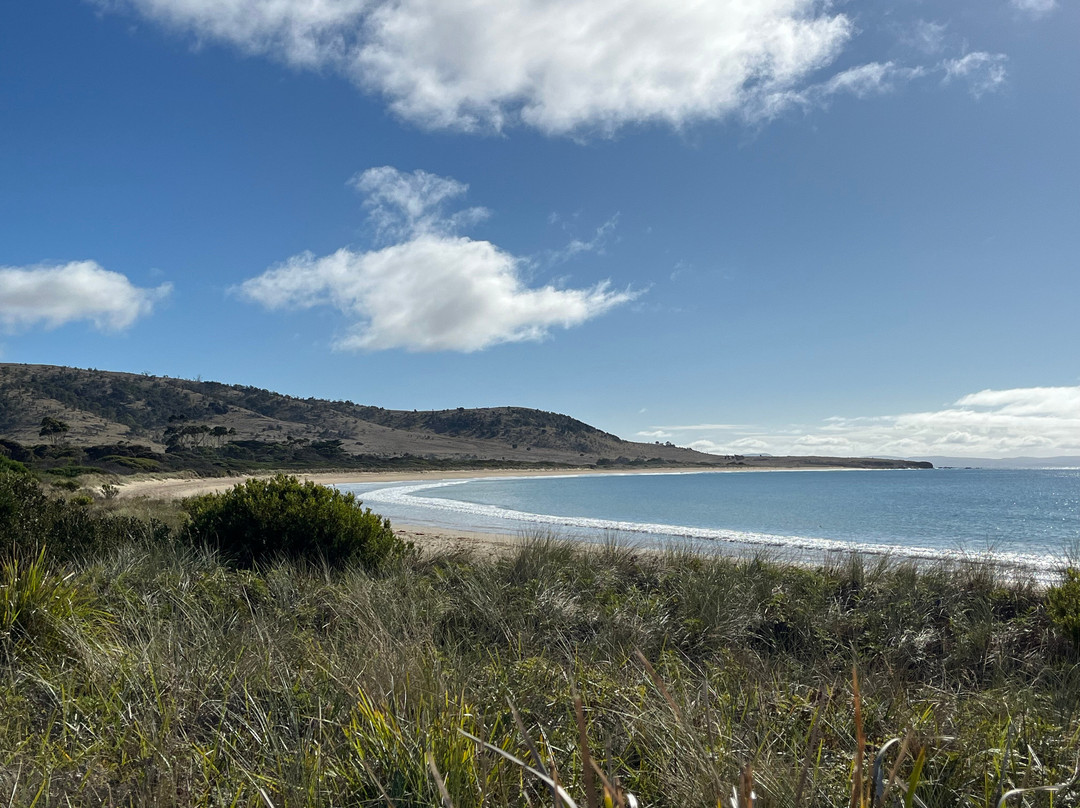 Spiky Beach Conservation Area-斯旺西必去景点