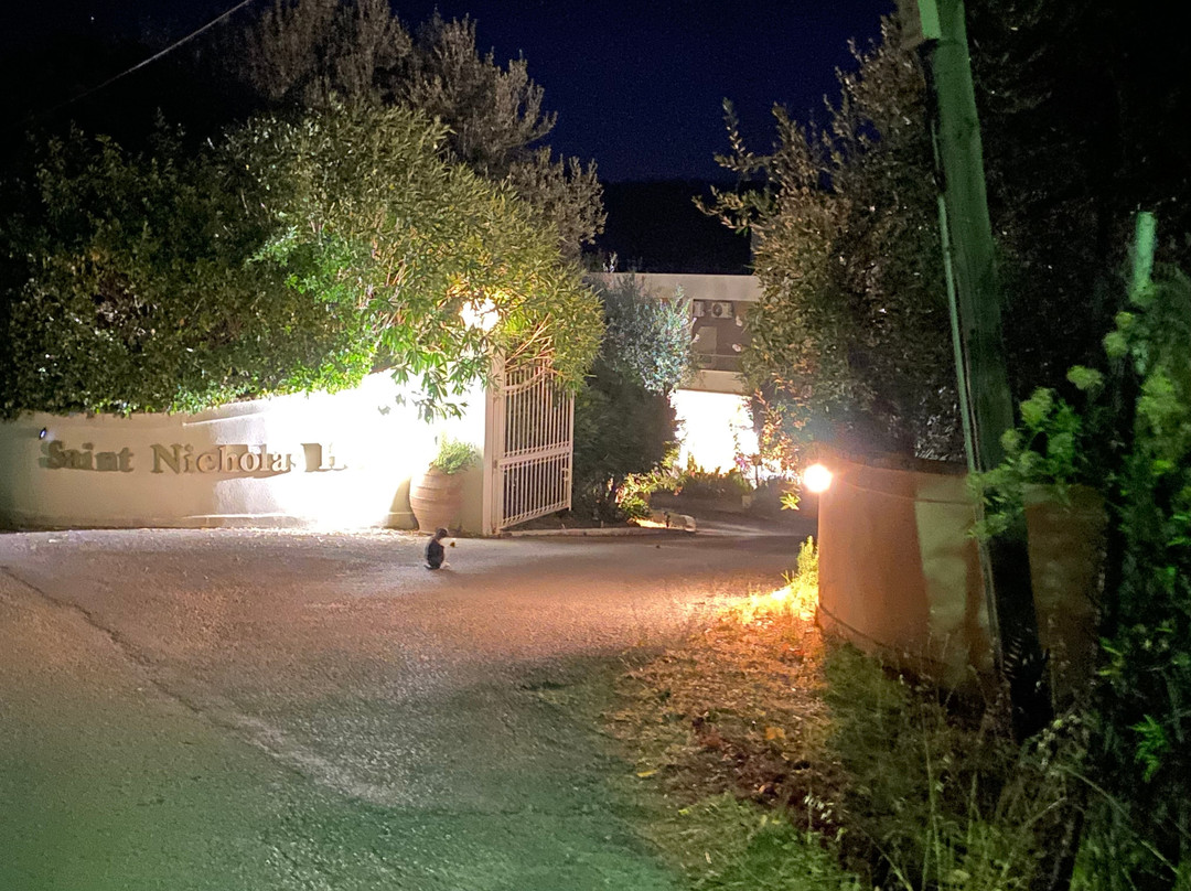 Saint Nicholas Hotel主图