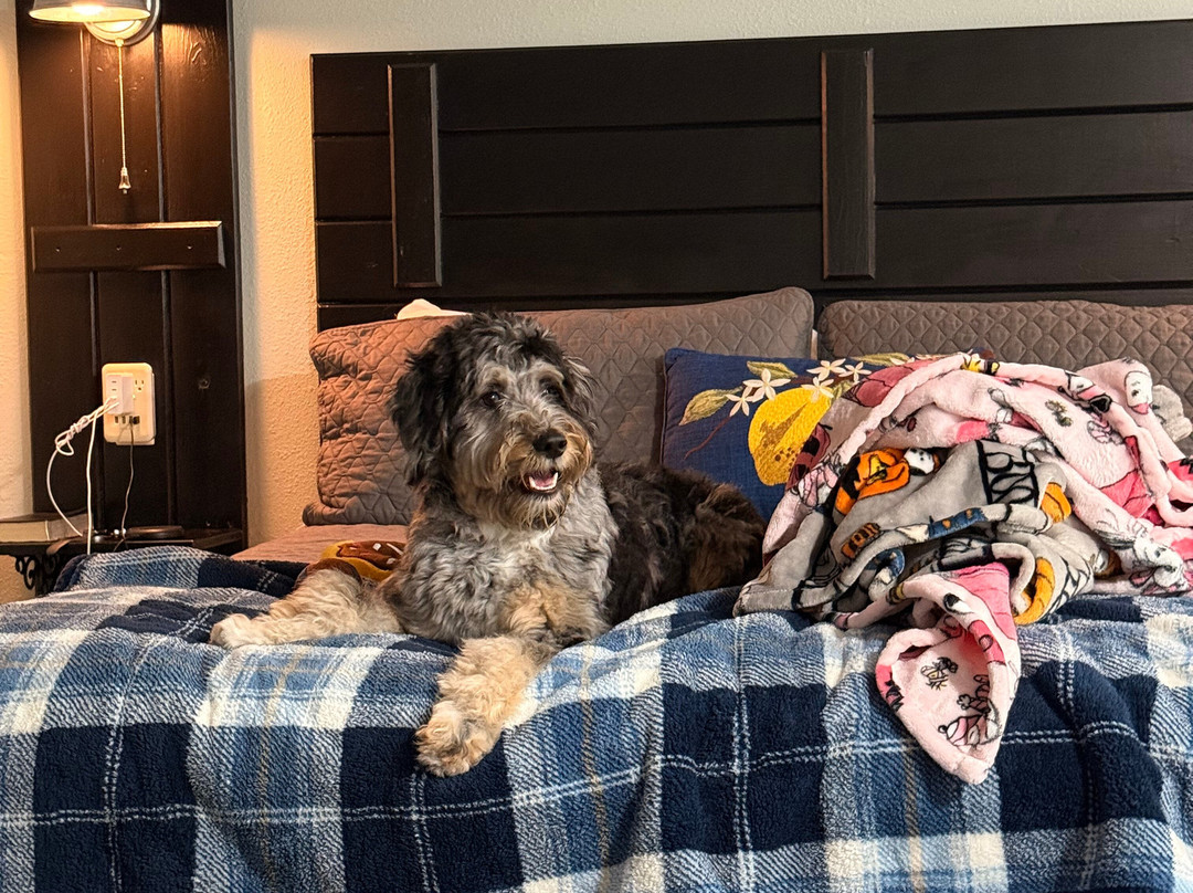 Willow Beach Resort主图