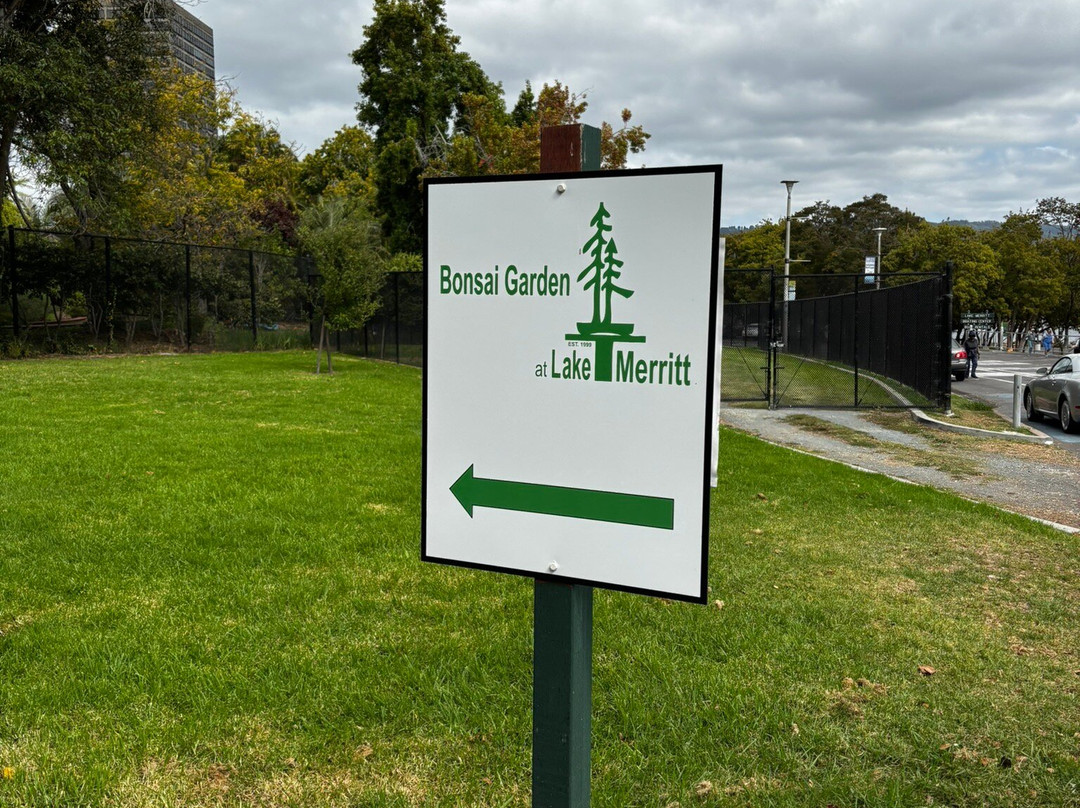 GSBF Bonsai Garden at Lake Merritt-奥克兰必去景点