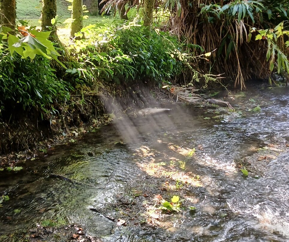Parque Dona Beatriz do Canto