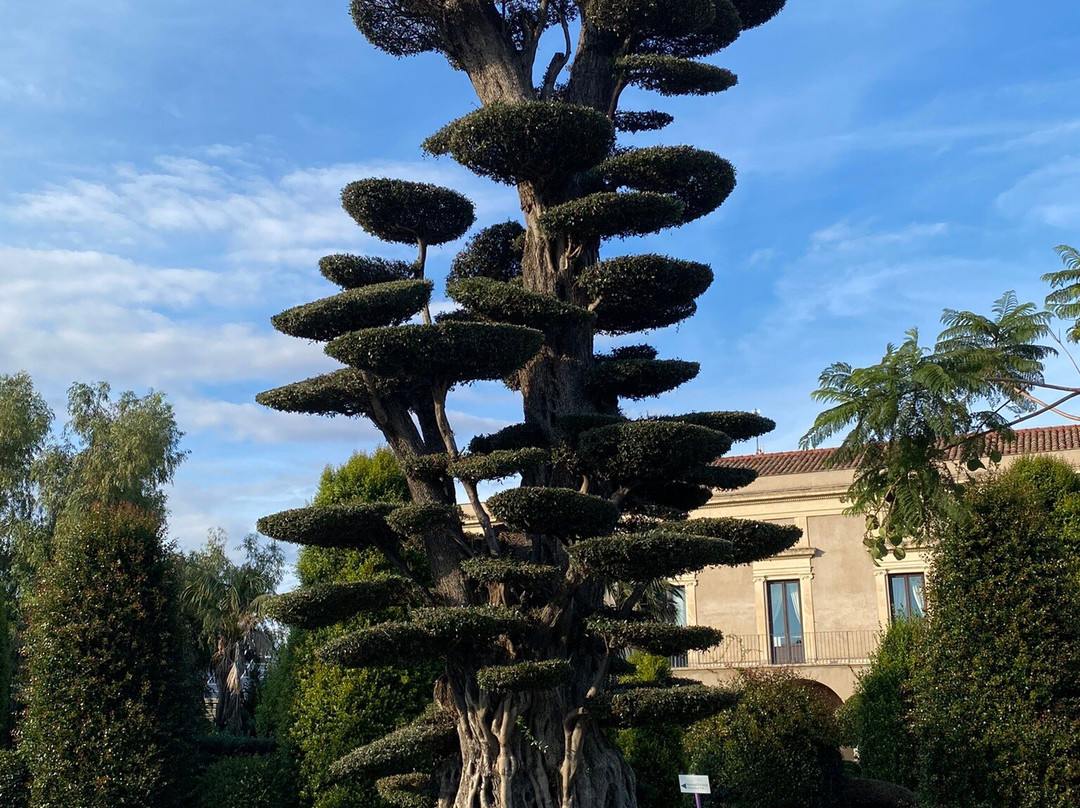 Parco Giardino Di S.giovanni Montebello-Giarre必去景点