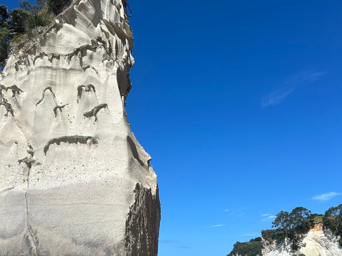 Kiwi Dundee Adventure Tours-Thames必去景点