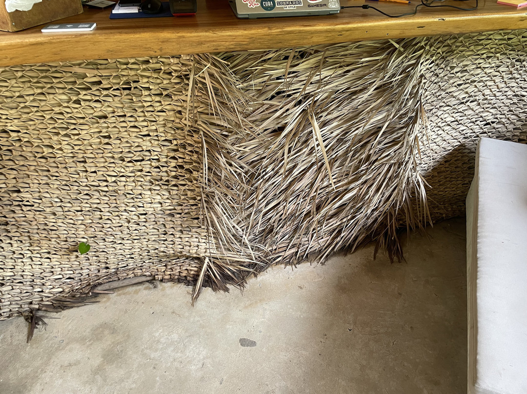 Raíz Hotel Boutique