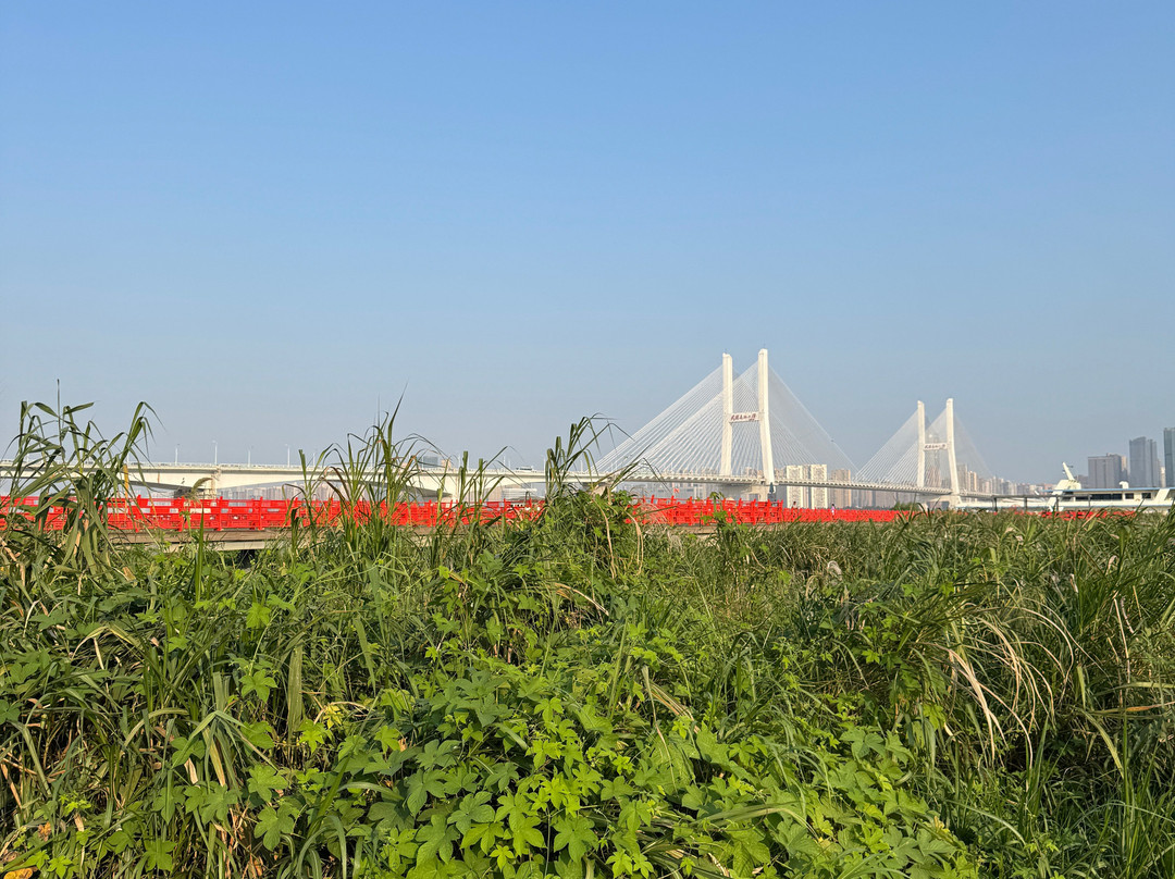 武汉长江二桥-武汉市必去景点