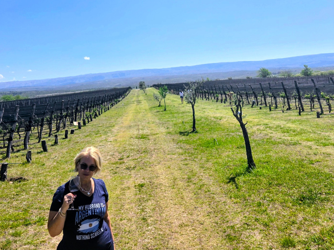 Bodega Furfaro-贝尔格拉诺将军区必去景点